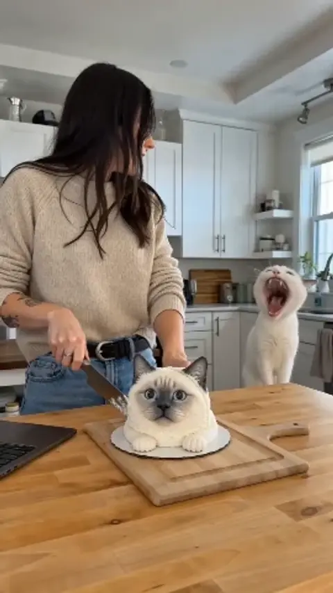 Funny Cat Cake Reveal UGC