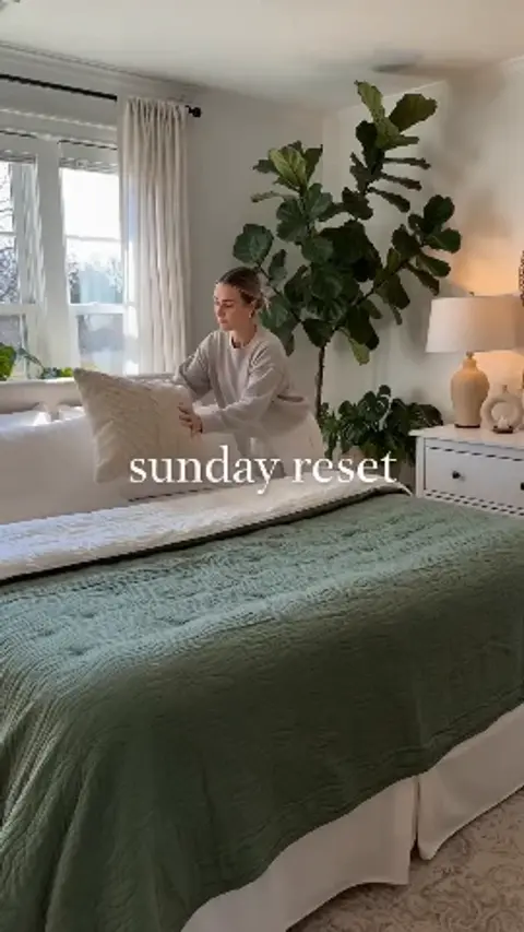 Home & Organization Video Templates